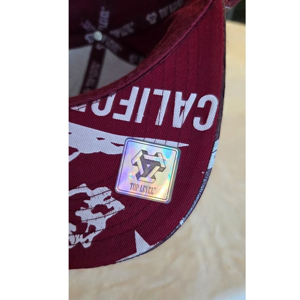 California Republic Bear Snapback Hat | Burgundy |‎ Top Level